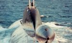 GREAT WHITE